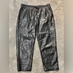 Loft vegan leather pants